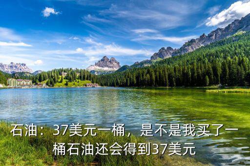 37美元的手續(xù)費(fèi)是多少,37美元時(shí)的收益大概是多少