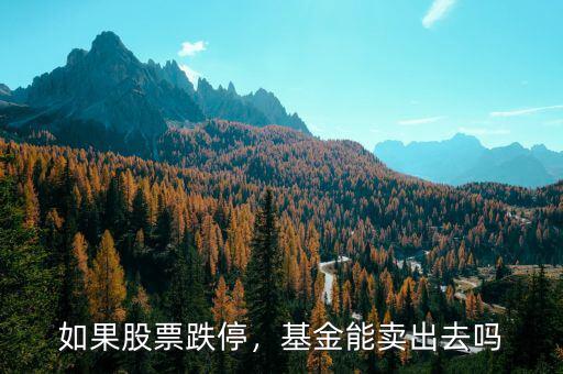 股票一字跌停怎么賣(mài)出,一開(kāi)盤(pán)股票就跌停