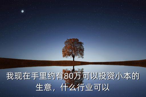我現(xiàn)在手里約有80萬可以投資小本的生意，什么行業(yè)可以