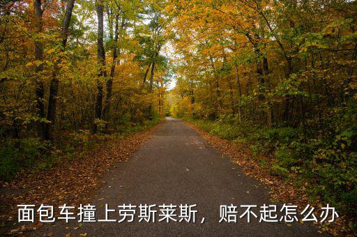 面包車撞上勞斯萊斯，賠不起怎么辦