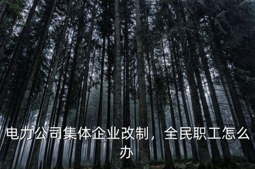 電力公司集體企業(yè)改制，全民職工怎么辦