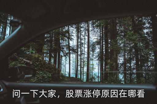 問一下大家，股票漲停原因在哪看