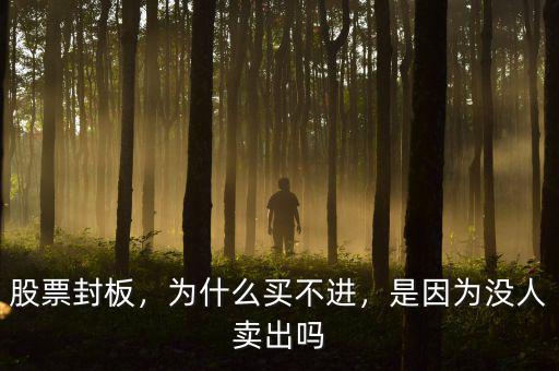 股票封板，為什么買不進，是因為沒人賣出嗎