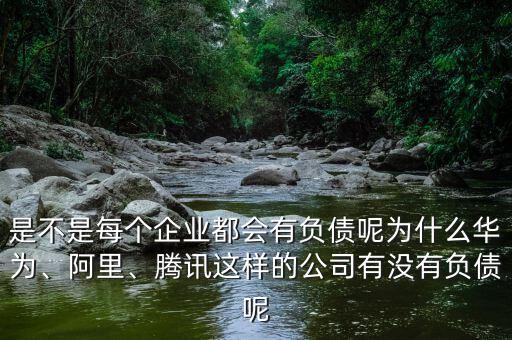 是不是每個(gè)企業(yè)都會(huì)有負(fù)債呢為什么華為、阿里、騰訊這樣的公司有沒有負(fù)債呢