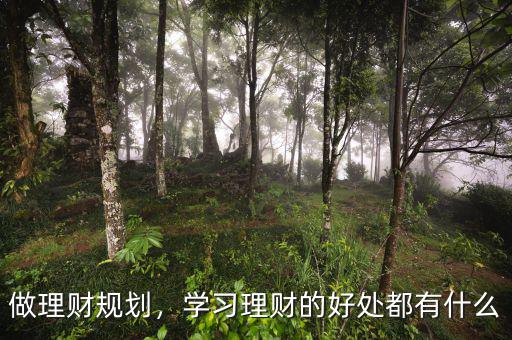 做理財規(guī)劃，學習理財?shù)暮锰幎加惺裁? class=