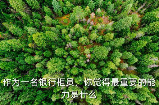 作為一名銀行柜員，你覺(jué)得最重要的能力是什么