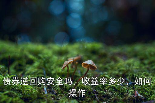債券逆回購安全嗎，收益率多少，如何操作