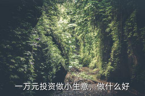 一萬元投資做小生意，做什么好