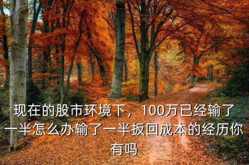 現(xiàn)在的股市環(huán)境下，100萬已經(jīng)輸了一半怎么辦輸了一半扳回成本的經(jīng)歷你有嗎
