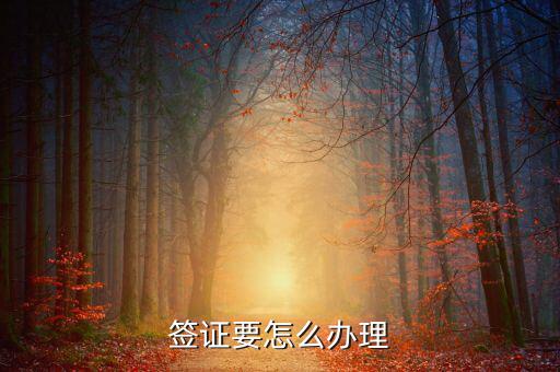 炒股怎么辦簽證,簽證要怎么辦理