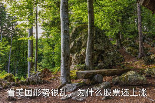 看美國形勢很亂，為什么股票還上漲
