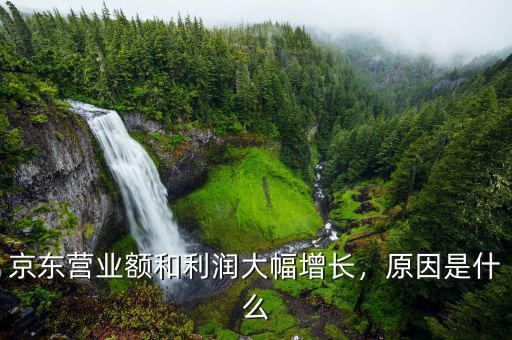 京東營(yíng)業(yè)額和利潤(rùn)大幅增長(zhǎng)，原因是什么