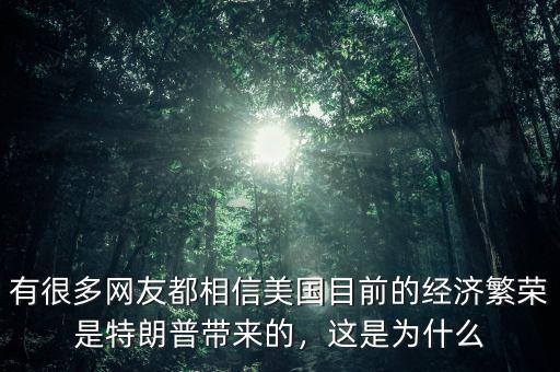 美國(guó)經(jīng)濟(jì)繁榮的原因是什么,是因?yàn)榻?jīng)濟(jì)繁榮嗎