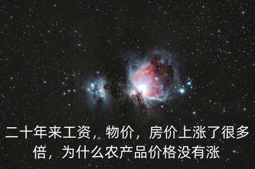 二十年來工資，物價，房價上漲了很多倍，為什么農(nóng)產(chǎn)品價格沒有漲