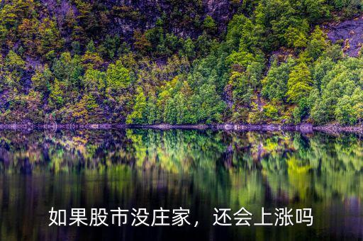 如果股市沒莊家，還會上漲嗎