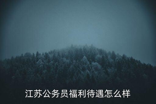 江蘇公務員福利待遇怎么樣