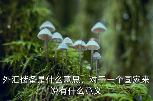 外匯儲備是什么意思，對于一個國家來說有什么意義