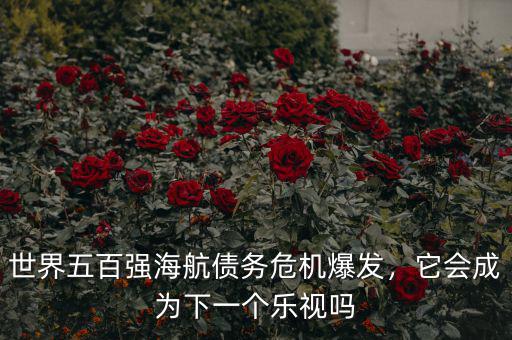 世界五百強(qiáng)海航債務(wù)危機(jī)爆發(fā)，它會成為下一個樂視嗎