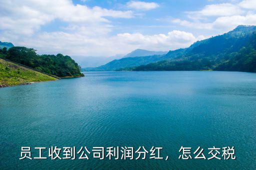 員工收到公司利潤分紅，怎么交稅
