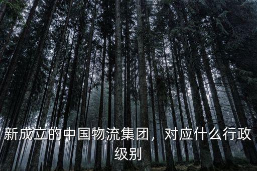 新成立的中國物流集團(tuán)，對應(yīng)什么行政級別