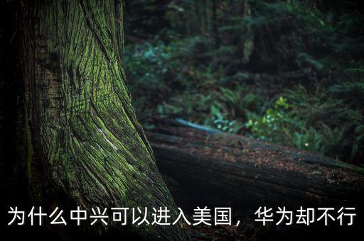 為什么中興可以進入美國，華為卻不行