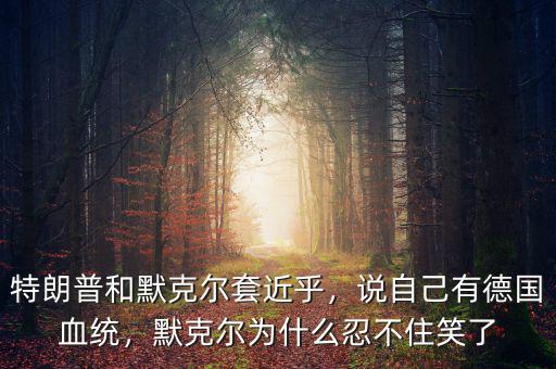特朗普和默克爾套近乎，說自己有德國血統(tǒng)，默克爾為什么忍不住笑了