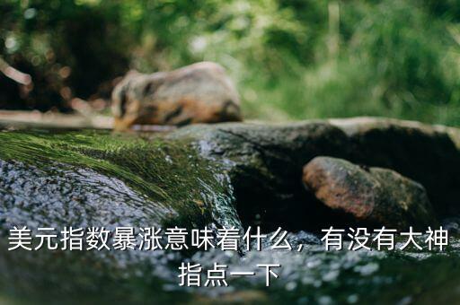 美元指數(shù)暴漲意味著什么，有沒有大神指點一下