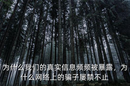 為什么我們的真實信息頻頻被暴露，為什么網(wǎng)絡(luò)上的騙子屢禁不止