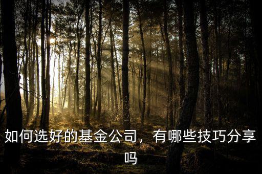 如何選好的基金公司，有哪些技巧分享嗎