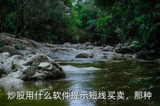 炒股用什么軟件提示短線買(mǎi)賣，那種