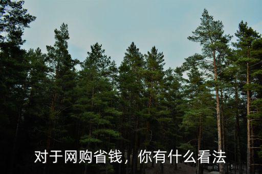 對于網(wǎng)購省錢，你有什么看法