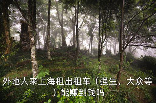 外地人來上海租出租車（強生，大眾等）能賺到錢嗎
