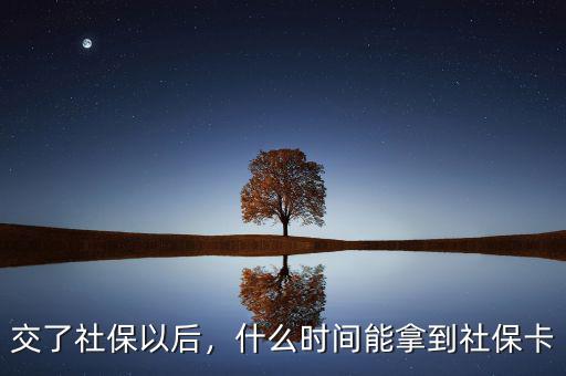 交了社保以后，什么時間能拿到社保卡