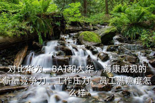 桐廬?？低曉趺礃?員工滿意度怎么樣