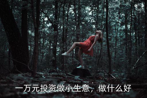 一萬元投資做小生意，做什么好
