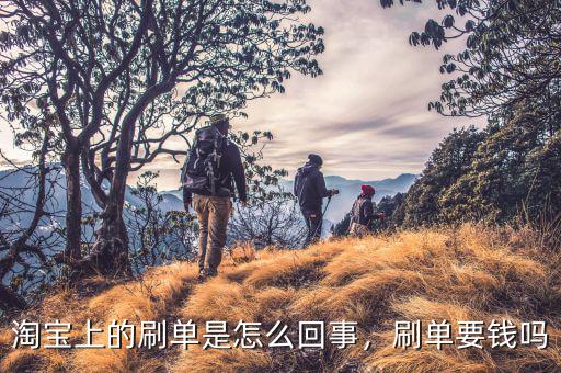 淘寶上的刷單是怎么回事，刷單要錢嗎