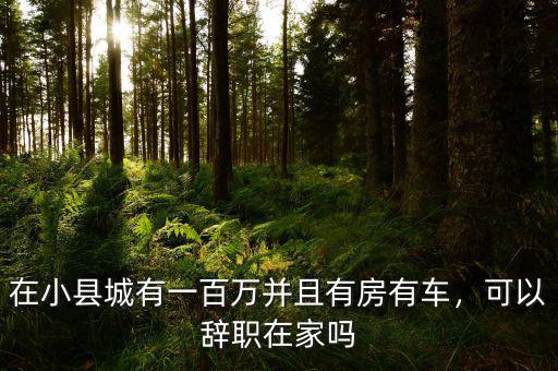 在小縣城有一百萬(wàn)并且有房有車(chē)，可以辭職在家嗎
