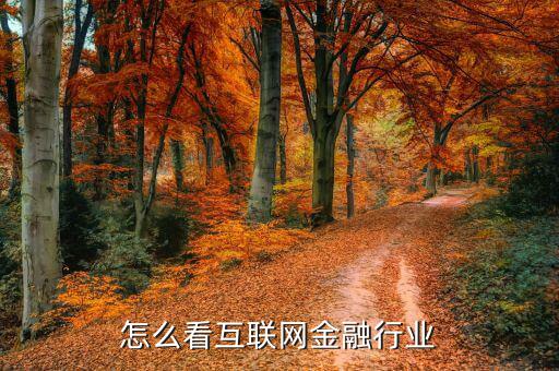 互聯(lián)網(wǎng)金融社區(qū)怎么樣,怎么看互聯(lián)網(wǎng)金融行業(yè)