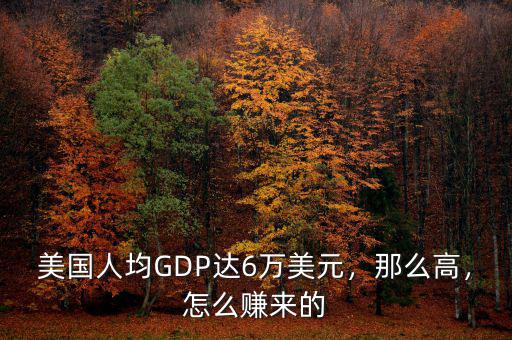 美國人均GDP達(dá)6萬美元，那么高，怎么賺來的