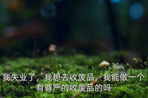 我失業(yè)了，我想去收廢品，我能做一個有尊嚴的收廢品的嗎