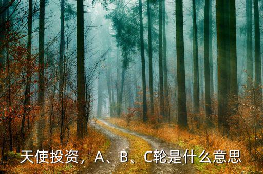 天使投資，A、B、C輪是什么意思