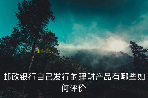 郵政銀行自己發(fā)行的理財(cái)產(chǎn)品有哪些如何評(píng)價(jià)