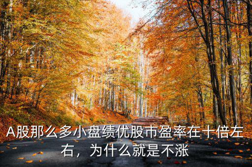 A股那么多小盤績優(yōu)股市盈率在十倍左右，為什么就是不漲
