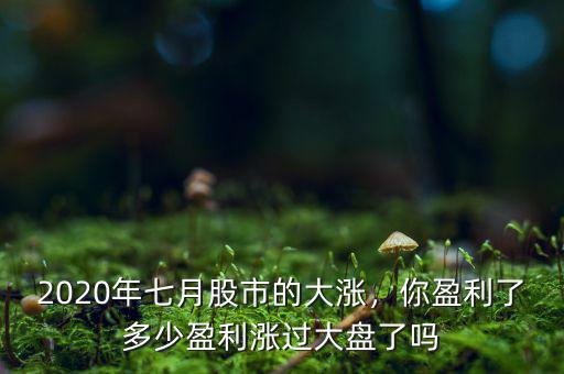 2020年七月股市的大漲，你盈利了多少盈利漲過大盤了嗎