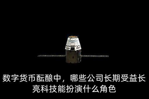 數(shù)字貨幣醞釀中，哪些公司長期受益長亮科技能扮演什么角色