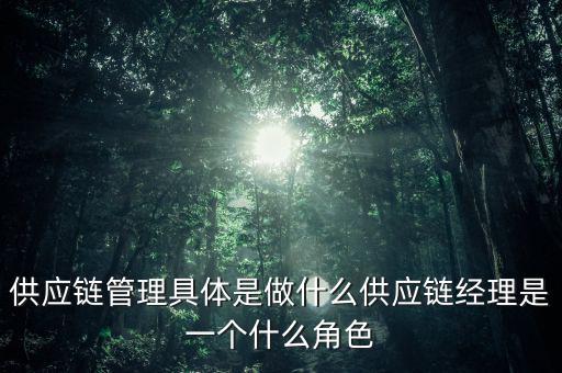利得供應(yīng)鏈是主要做什么的,供應(yīng)鏈經(jīng)理是一個什么角色