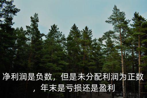 凈利潤是負(fù)數(shù)，但是未分配利潤為正數(shù)，年末是虧損還是盈利