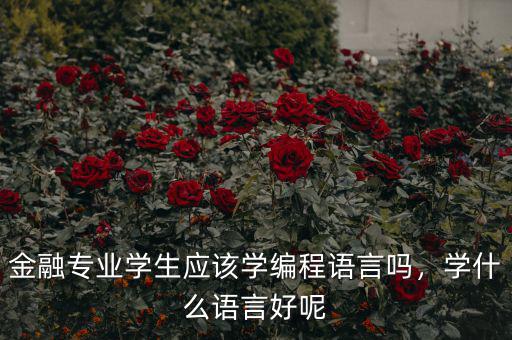 金融專業(yè)學(xué)生應(yīng)該學(xué)編程語言嗎，學(xué)什么語言好呢