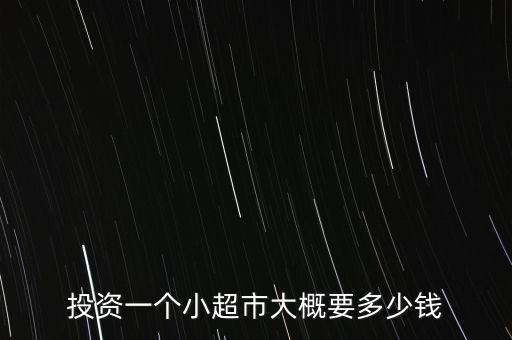 龍盟投資多少錢,投資一個小超市大概要多少錢