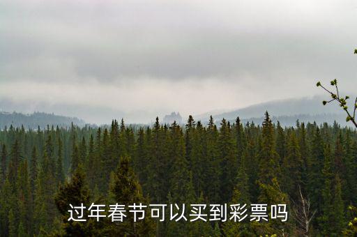彩票網(wǎng)點過年怎么安排的,過年春節(jié)可以買到彩票嗎